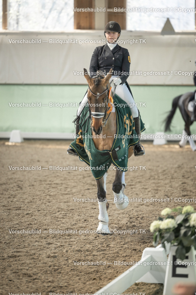 _D5A2531 | Emotionale Pferde- & People-Fotografie rund um Heidelberg, Leimen & Umgebung. Natürliche Fotos von Pferd, Mensch & Familie. Jetzt Termin sichern!