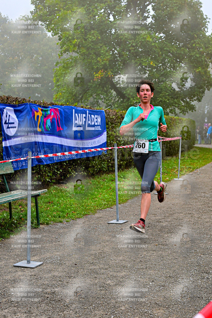 Z8N_1316 | la-psv - Realisiert mit Pictrs.com