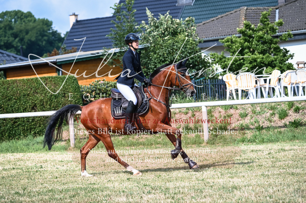 DSC_7896 | Pferde- und Turnierfotografie in Westsachsen. Pferdeportraits, Auftragszeichnungen und intuitive Kunst.