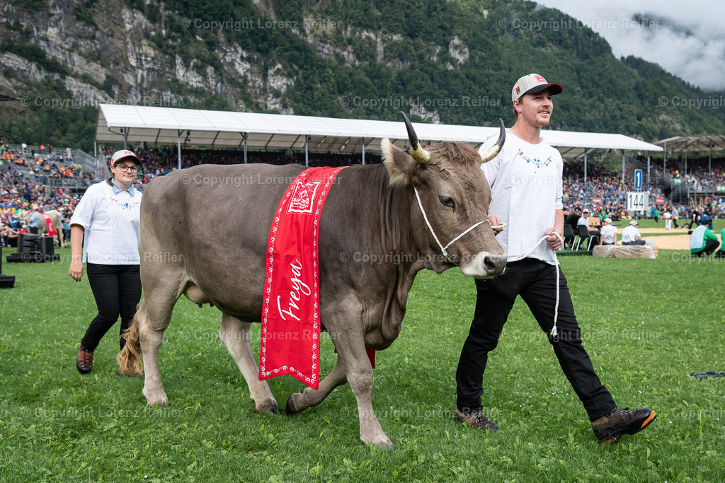 Schwingen -  ESAF 2025 Samstag | Mollis, 30.8.25, Schwingen - ESAF Samstag.