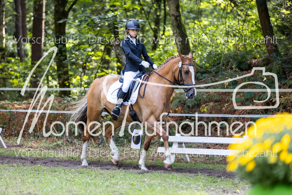 HB-Dressur-WB-123 | MomenTaufnahmen Pferdesportfotos