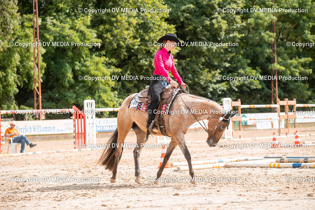 ZS3_9369 | dv-media-shop - Realisiert mit Pictrs.com