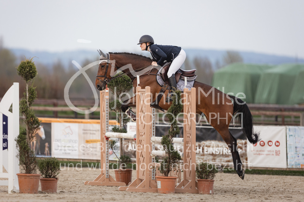 230406_Frühlingsfest_A-Stil2-235 | Deine schönsten Turniermomente als professionelle Fotos! Entdecke hochwertige Pferdesport-Fotografie im Online-Shop. Jetzt Fotos finden & bestellen!