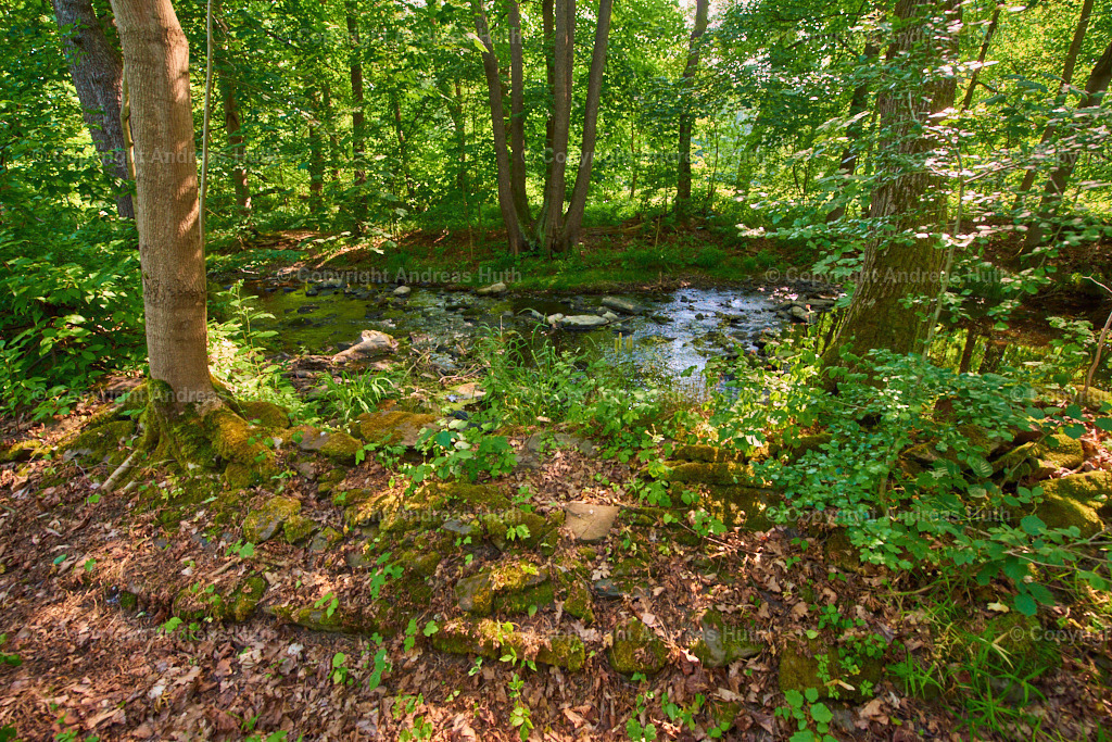 Die Auma an der Aumühle 02 | Bedeutsame Landschaften Deutschlands - Realisiert mit Pictrs.com
