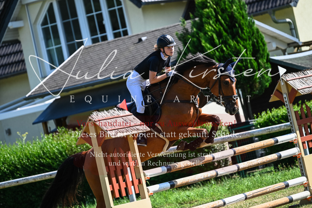 DSC_1465 | Pferde- und Turnierfotografie in Westsachsen. Pferdeportraits, Auftragszeichnungen und intuitive Kunst.