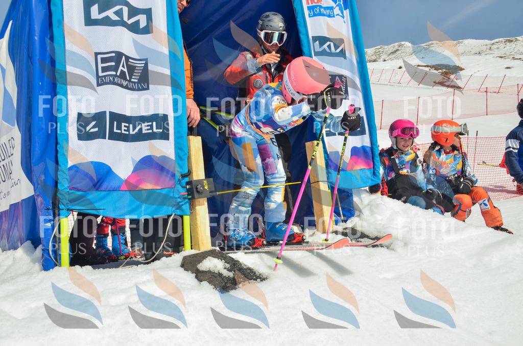 _ELE5232 | holidayphoto