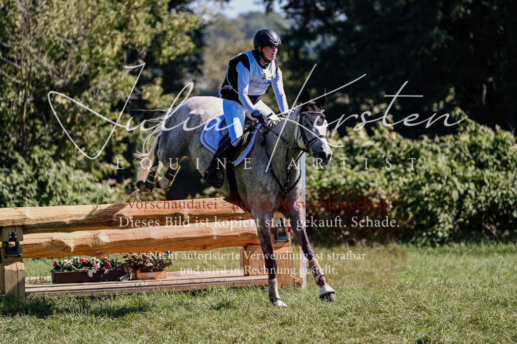 DSC_1422 | Pferde- und Turnierfotografie in Westsachsen. Pferdeportraits, Auftragszeichnungen und intuitive Kunst.