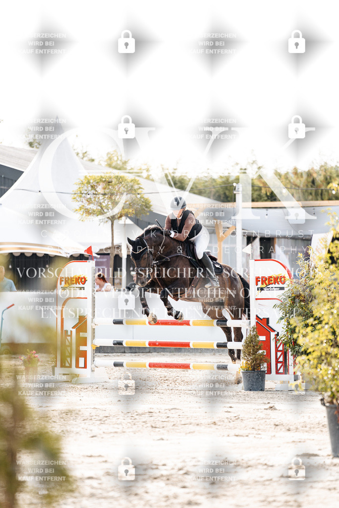 CK906564 | Turnierfotografie Pferdefotografie Trier Rheinland-Pfalz Pferdesport Reitsport Tierfotografie Sportfotografie Pferdevideo Pferdevideografie Equestrianvideography equestrianphotography  - Realisiert mit Pictrs.com