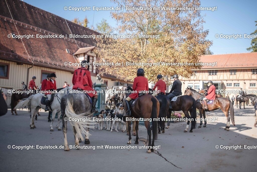 20251011_Jagd-Marbach_0626 | Foto: Thomas Hartig