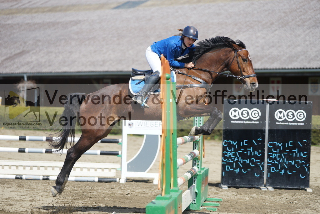 DSC02590 | equestrian-live-com