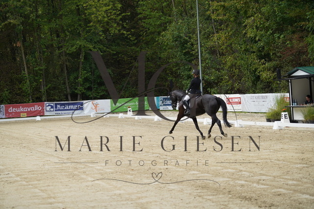 VAN03760 | Marie Giesen Fotografie - Realisiert mit Pictrs.com