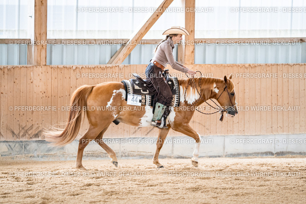 DSC09021 | Pferdegrafie