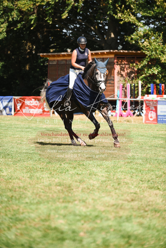 DSC_2949 | Pferde- und Turnierfotografie in Westsachsen. Pferdeportraits, Auftragszeichnungen und intuitive Kunst.