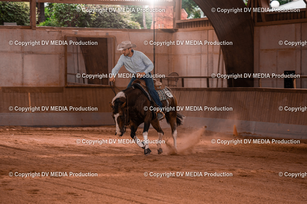 NE300840 | dv-media-shop - Realisiert mit Pictrs.com