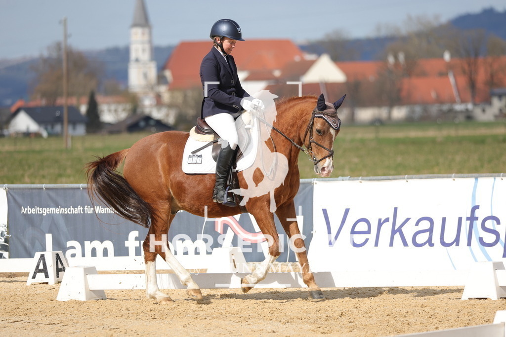 0P6A7633 | Willkommen bei Brunnmayr - Design & Fotografie – Ihrem Spezialisten für Reitturniere und Pferdeveranstaltungen in Oberösterreich, Salzburg und Bayern! Seit über 17 Jahren sind wir leidenschaftlich dabei.