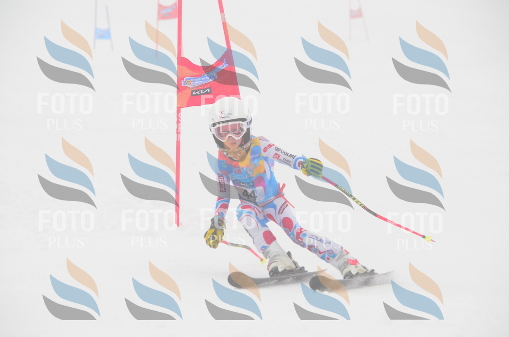 C0903 | holidayphoto