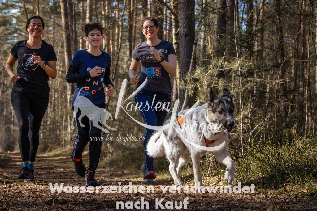 1416_ZZ94848 | kk-dogfotos