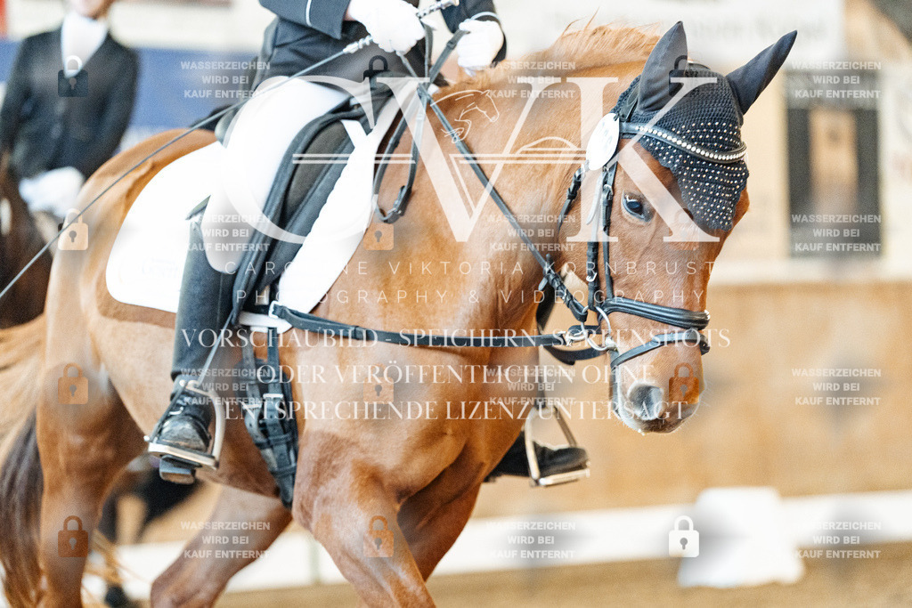 CK906647 | Turnierfotografie Pferdefotografie Trier Rheinland-Pfalz Pferdesport Reitsport Tierfotografie Sportfotografie Pferdevideo Pferdevideografie Equestrianvideography equestrianphotography  - Realisiert mit Pictrs.com