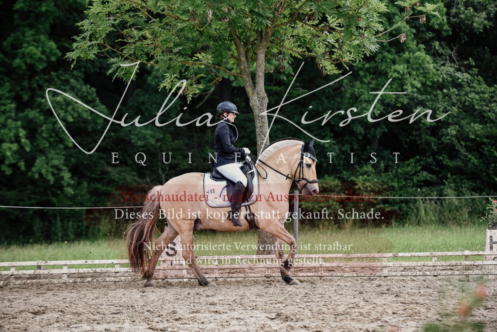 DSC_1707 | Pferde- und Turnierfotografie in Westsachsen. Pferdeportraits, Auftragszeichnungen und intuitive Kunst.