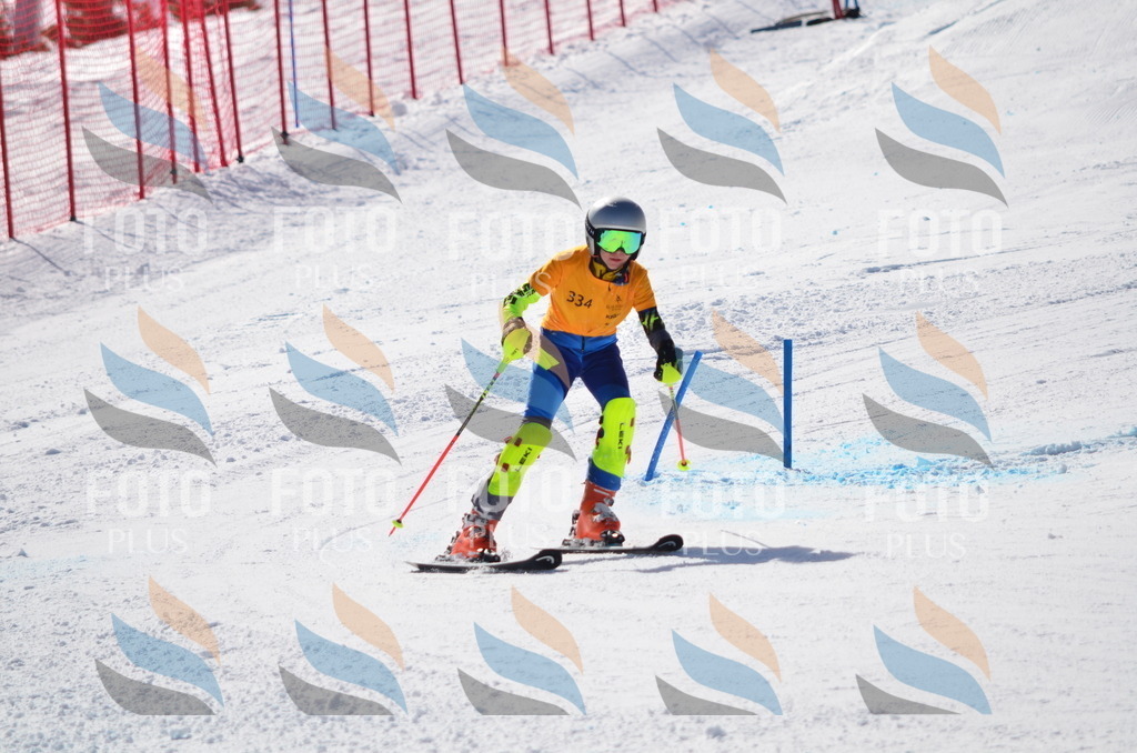 C9682 | holidayphoto