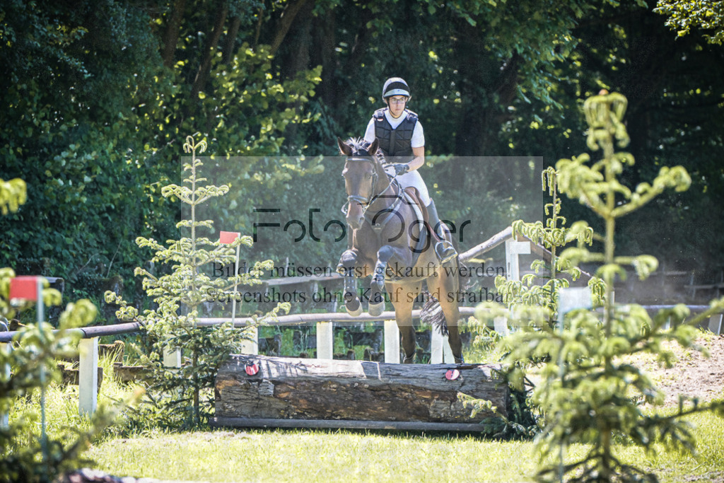 DOS_3087 | Entdecke hochwertige Reitturnierfotos von Foto Oger. Professionell, emotional und authentisch – jetzt Lieblingsmomente im Shop bestellen.Deutschlandweite Turnierfotografie. - Realisiert mit Pictrs.com