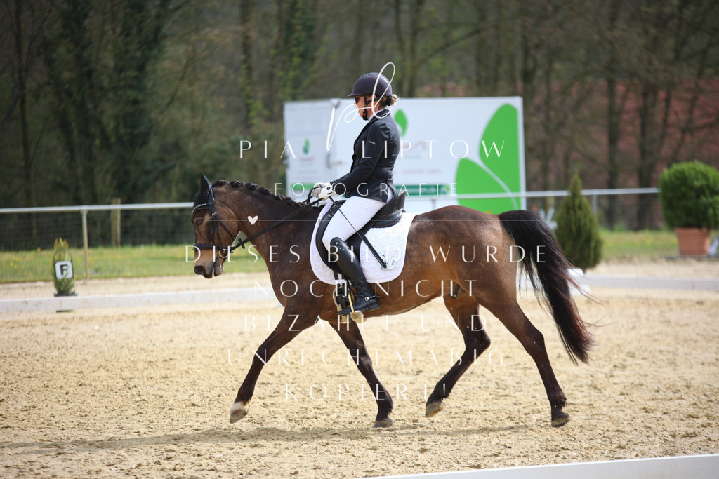 IMGT5634 | pl-fotografie