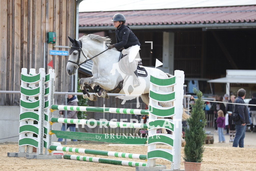 0P6A5038 | Willkommen bei Brunnmayr - Design & Fotografie – Ihrem Spezialisten für Reitturniere und Pferdeveranstaltungen in Oberösterreich, Salzburg und Bayern! Seit über 17 Jahren sind wir leidenschaftlich dabei.