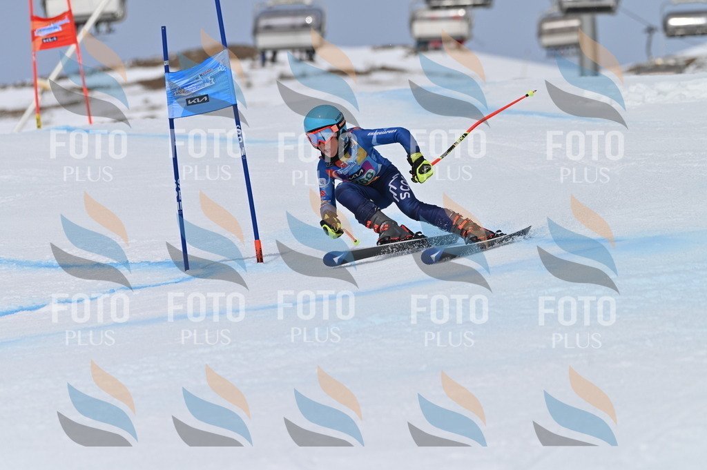 BGV_5305 | holidayphoto