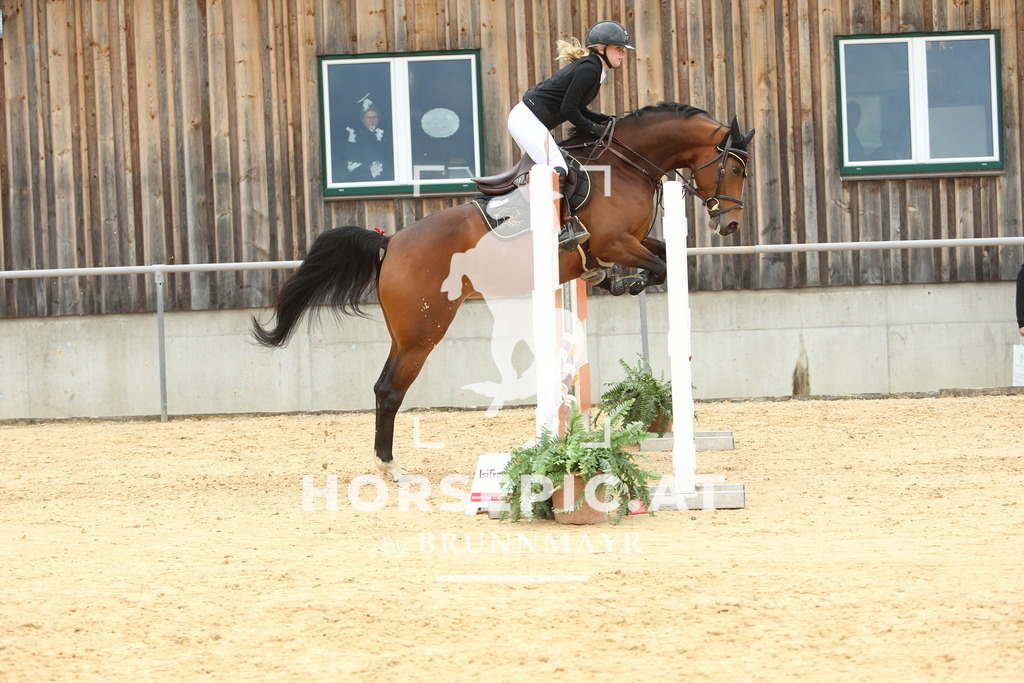 DL2Q2009 | Willkommen bei Brunnmayr - Design & Fotografie – Ihrem Spezialisten für Reitturniere und Pferdeveranstaltungen in Oberösterreich, Salzburg und Bayern! Seit über 17 Jahren sind wir leidenschaftlich dabei.
