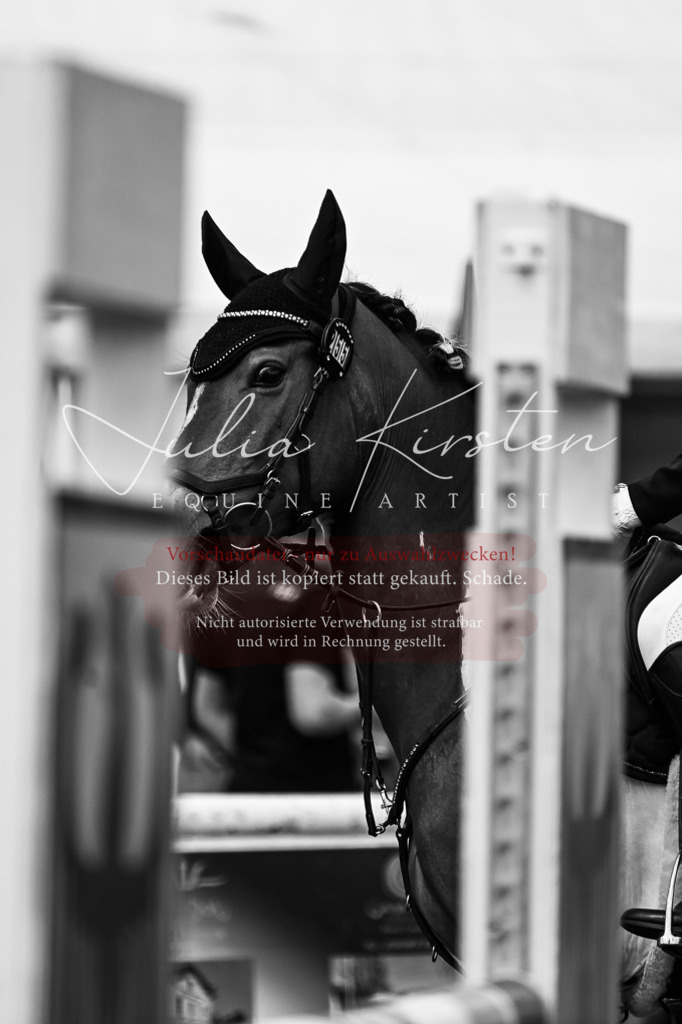 DSC_9332 | Pferde- und Turnierfotografie in Westsachsen. Pferdeportraits, Auftragszeichnungen und intuitive Kunst.