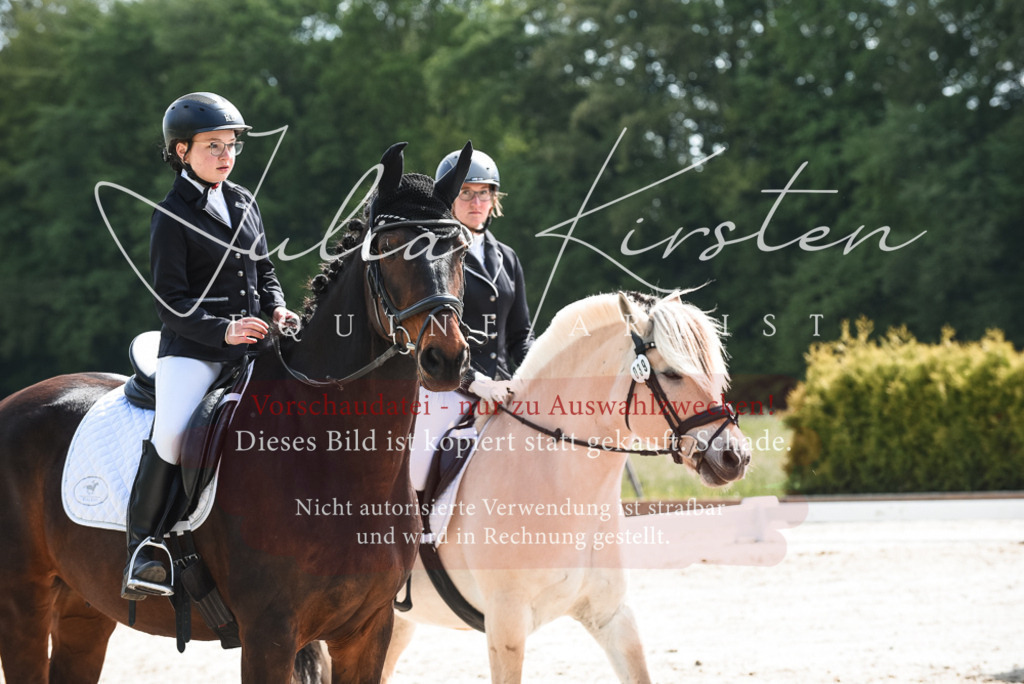 20230518_JK-Röhrsdorf-09-1641 | Pferde- und Turnierfotografie in Westsachsen. Pferdeportraits, Auftragszeichnungen und intuitive Kunst.