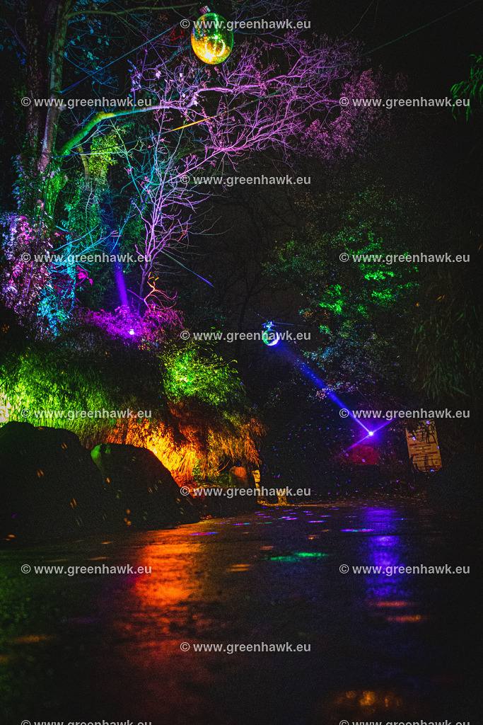 _MG_9824 | Greenhawks Bilder Shop für Landschaften, Urban, Tiere und weiteres als Poster Leinwand oder Fotogeschenk für Ostern Weihnachten oder Geburtstag  - Realisiert mit Pictrs.com