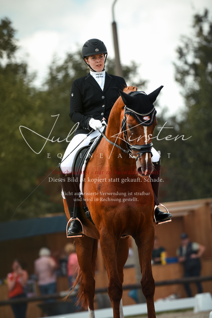 DSC_9131 | Pferde- und Turnierfotografie in Westsachsen. Pferdeportraits, Auftragszeichnungen und intuitive Kunst.