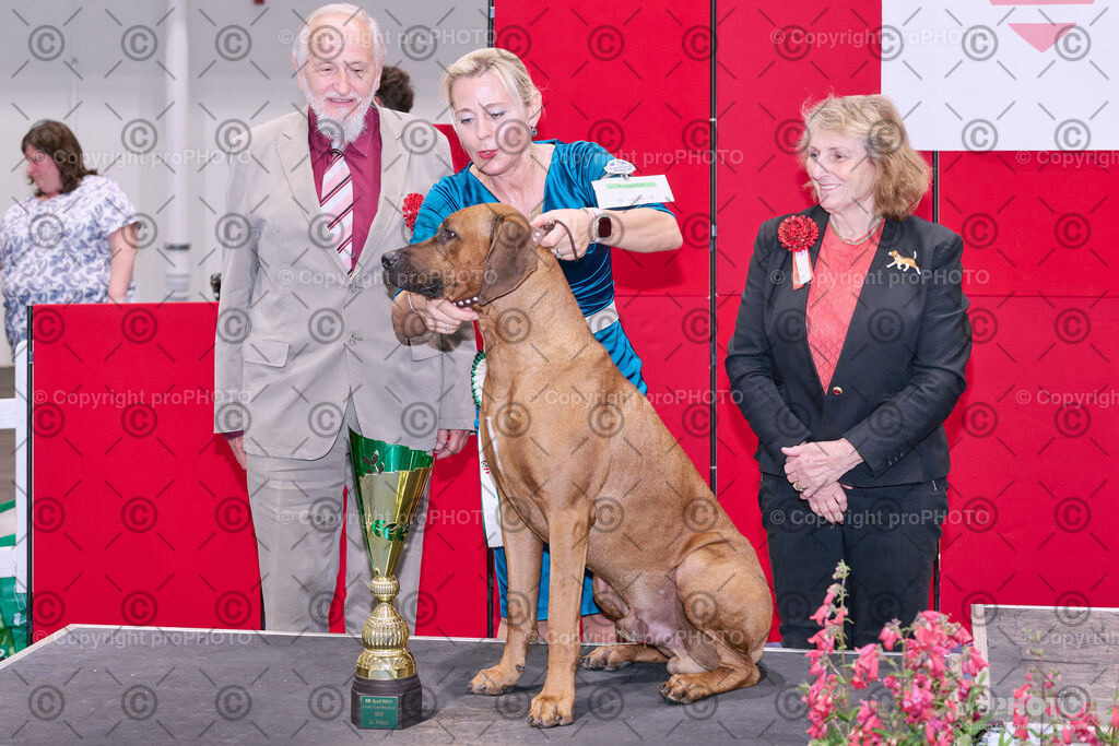 202406_ÖKV-IHA-Tulln24_NZ9_8860 | proPHOTO - Realisiert mit Pictrs.com