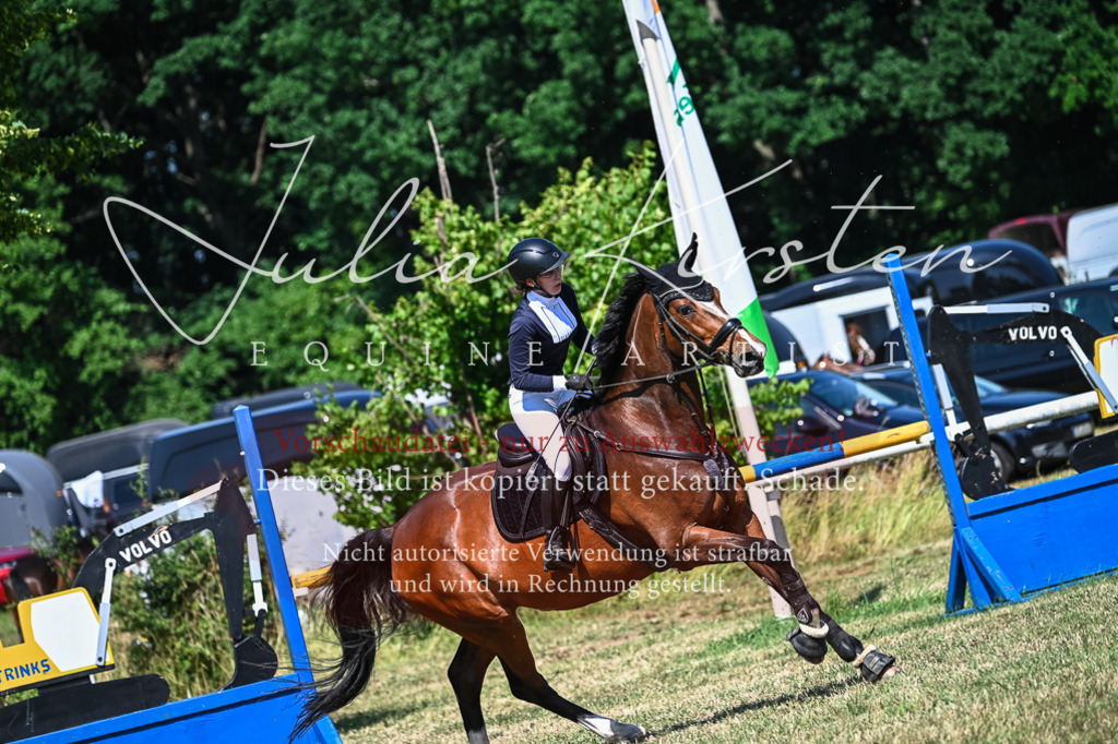 DSC_1545 | Pferde- und Turnierfotografie in Westsachsen. Pferdeportraits, Auftragszeichnungen und intuitive Kunst.