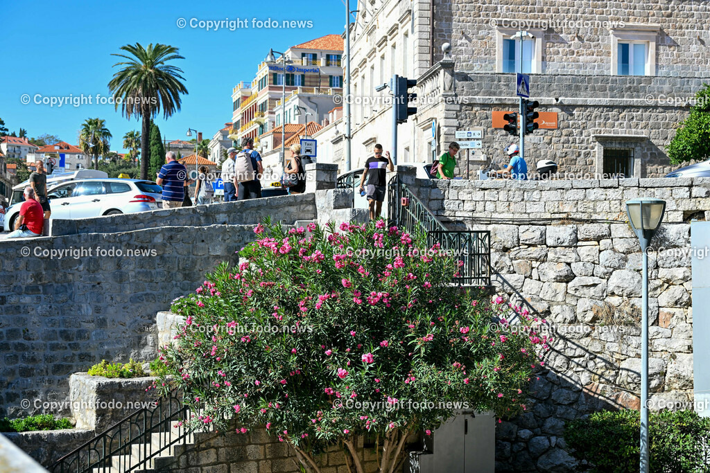 Kroatien_ Dubrovnik_ 11.10.2023-236 | 11.10.2023, Kroatien, HRV, Dubrovnik im Bild Gastronomie, Tourismus, Touristen, Sehenswuerdigkeiten, Stadtansichten



eine Stadt im suedlichen Kroatien an der Adriakueste in der Gespannschaft Dubrovnik-Nereveta. Die Altstadt wurde im Jahr 1979 von der UNESCO in die Liste des Weltkulturerbes aufgenommen.