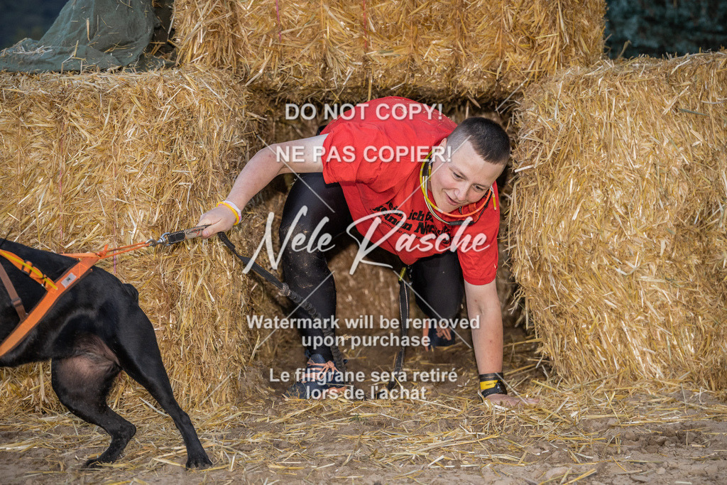 nelerasche_FrNacht_127 | nelerasche