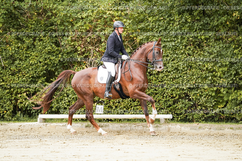 DSC03753 | Pferdegrafie