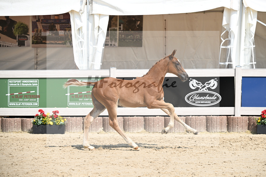 Arezzo Man x Celentano_HF_Moldvai_12250445 | hf-fotografie - Realizzato con Pictrs.com