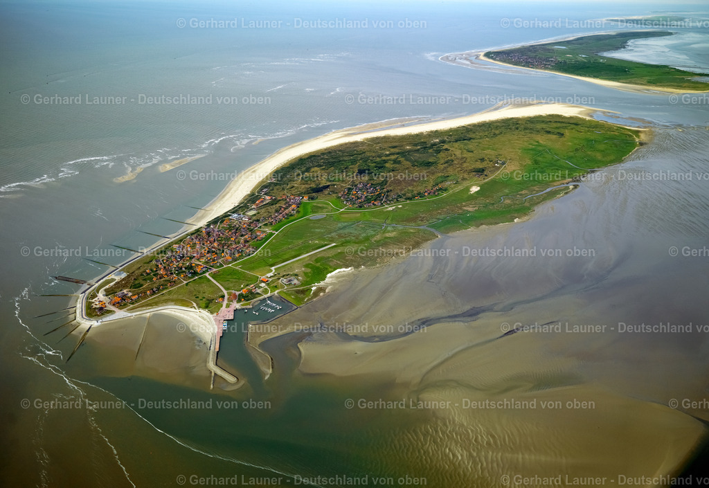 3091117 | Baltrum, Nationalpark Niedersächsisches Wattenmeer