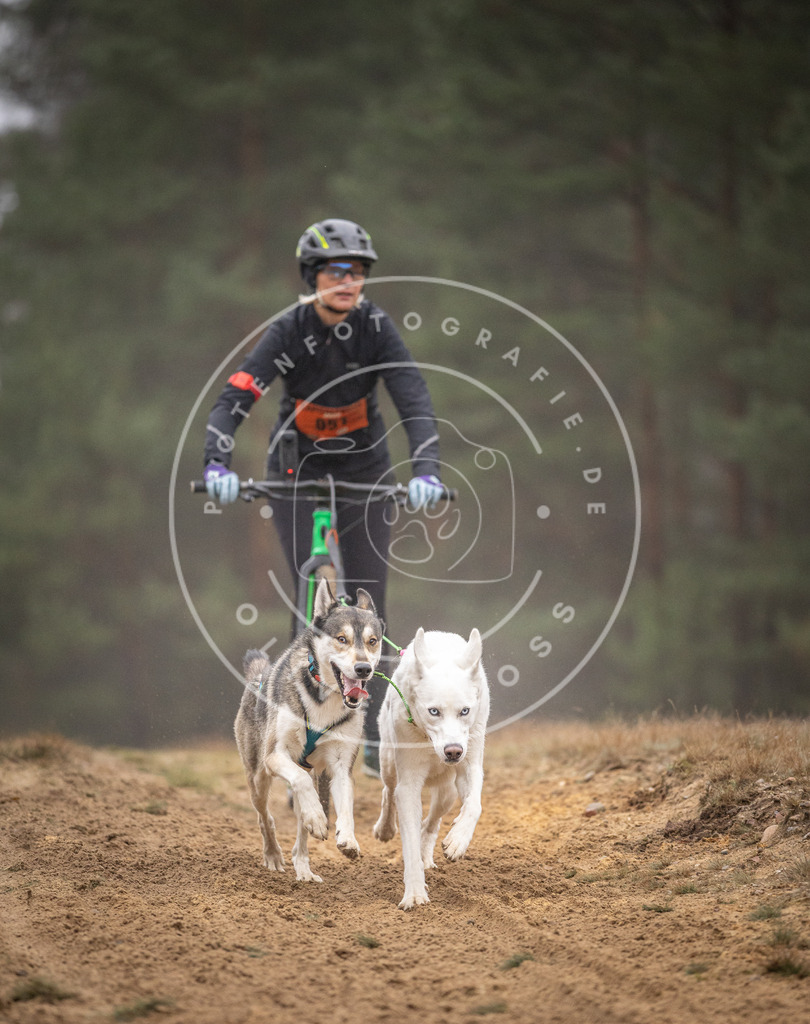 Pfotenfotografie_DV3A1244 | Hundefotografie, Tierfotograf, Pfotenfotografie, Fotoshooting Hund, Hunde Portrait, Hundesport, Hundeportraits, Heideshooting, Hunde, Sportfotograf, Hundefotograf, Turnierhundsport, THS,  - Realisiert mit Pictrs.com