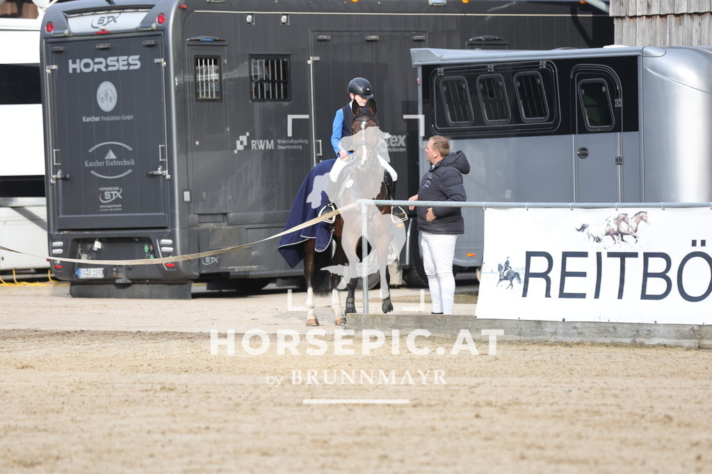 0P6A3765 | Willkommen bei Brunnmayr - Design & Fotografie – Ihrem Spezialisten für Reitturniere und Pferdeveranstaltungen in Oberösterreich, Salzburg und Bayern! Seit über 17 Jahren sind wir leidenschaftlich dabei.