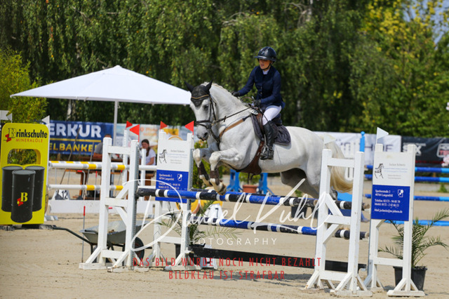 Gut Blee25_Amateuer Stilsprpfg Kl L_0188 | Turniersportfotografie; Pferdefotografie; Dressurfotografie