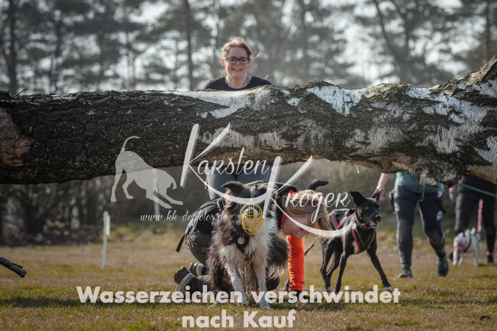 1053_ZZ94048 | kk-dogfotos