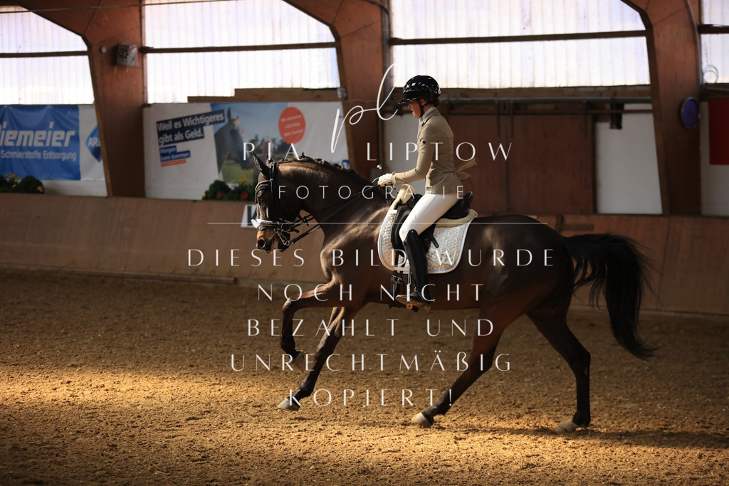 IMGT2651 | pl-fotografie