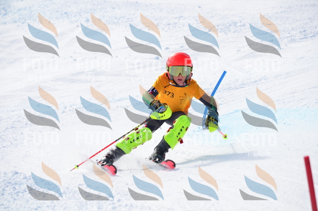 C8758 | holidayphoto