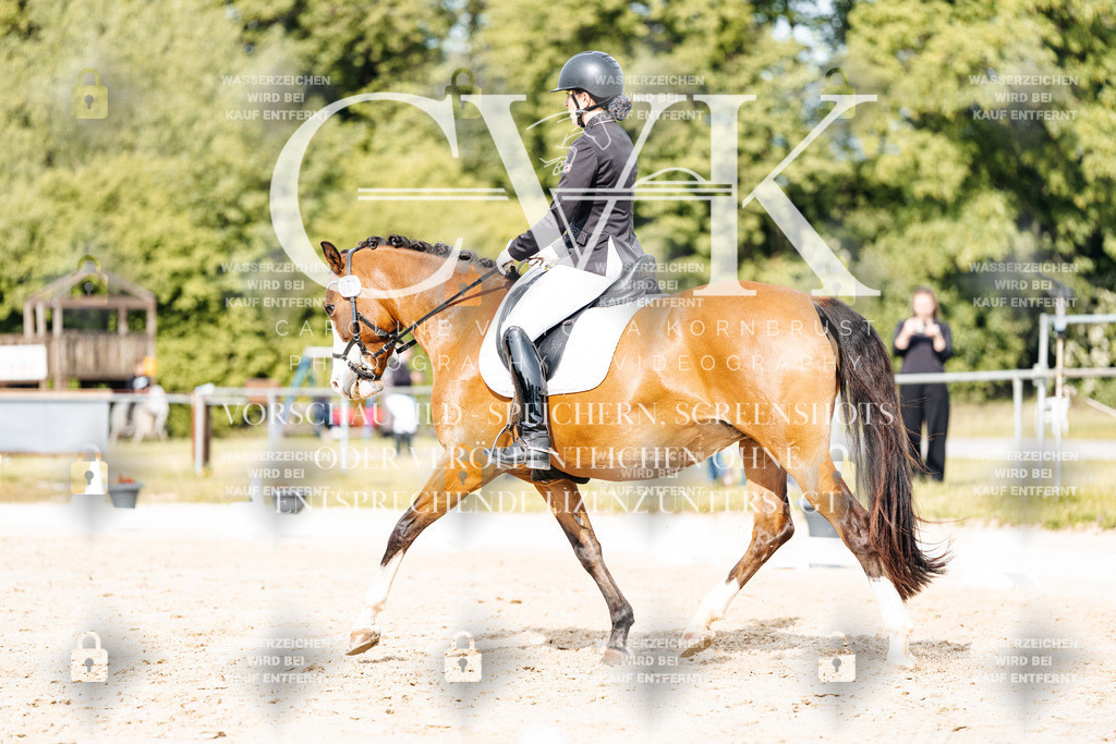 CK900579 | Turnierfotografie Pferdefotografie Trier Rheinland-Pfalz Pferdesport Reitsport Tierfotografie Sportfotografie Pferdevideo Pferdevideografie Equestrianvideography equestrianphotography  - Realisiert mit Pictrs.com