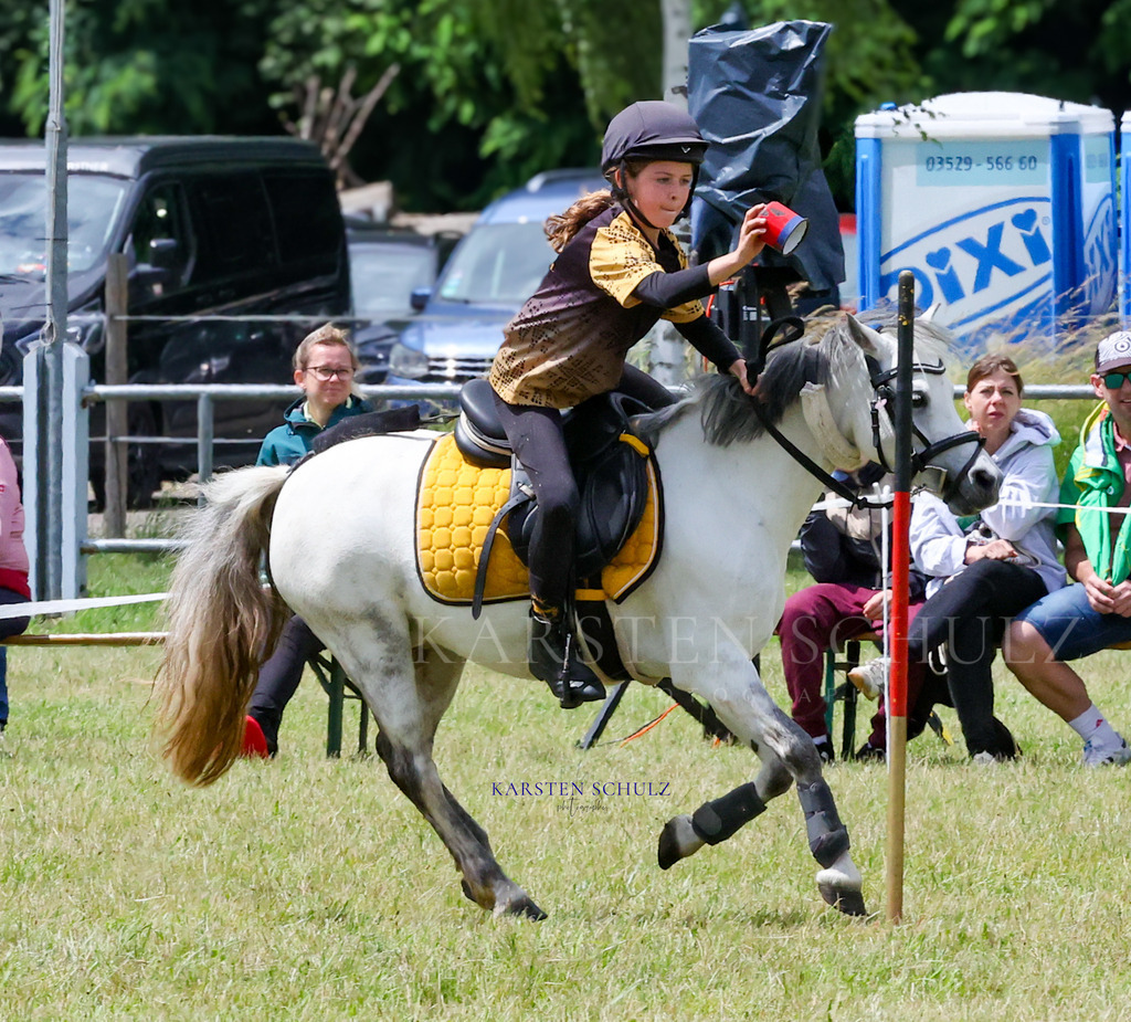 1B3A1200 | Reitsport Reiten