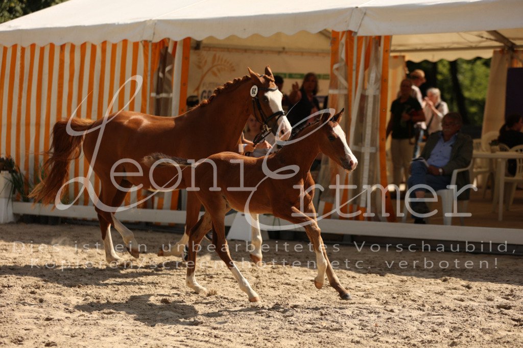 08.DoRPS00078 | Leoni Ertmer Photography - Realisiert mit Pictrs.com