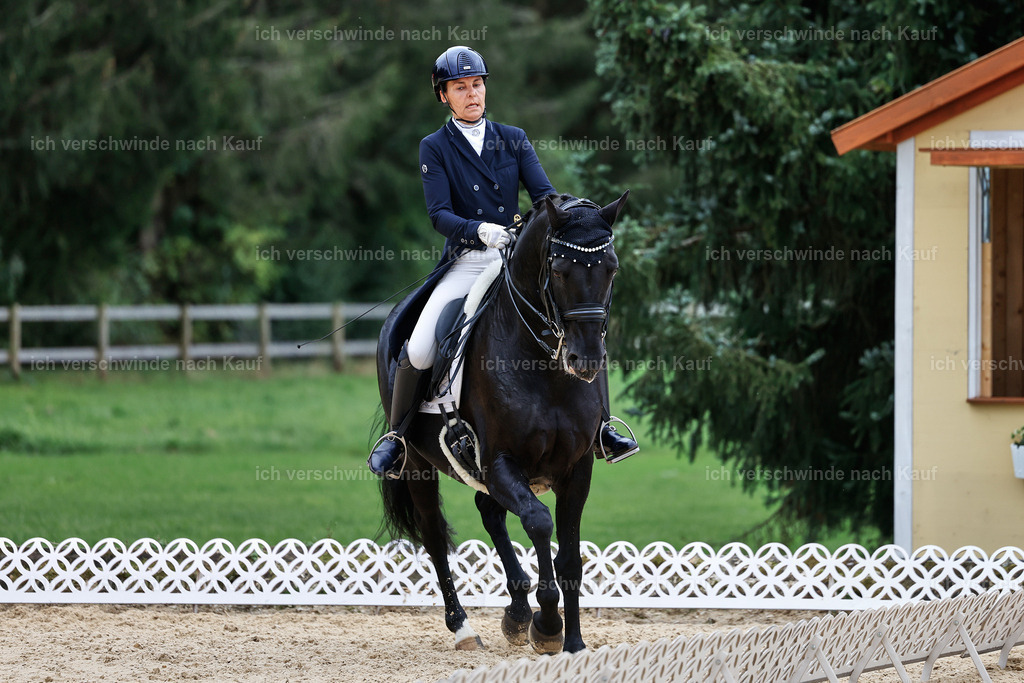 11-194-Dressur S___-StoibPH-1456 | working equitationturnier fotograf videograf stoibphotography marixx film working equitation deutschland reitsport turnierfotografie eventfotografie equestrian events